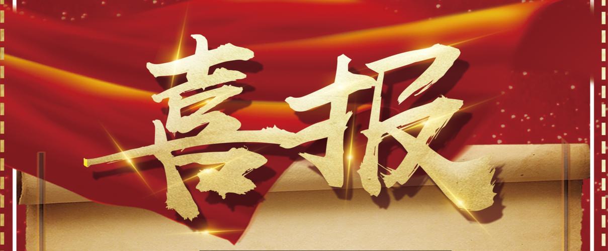 零距离泛目录站群运营